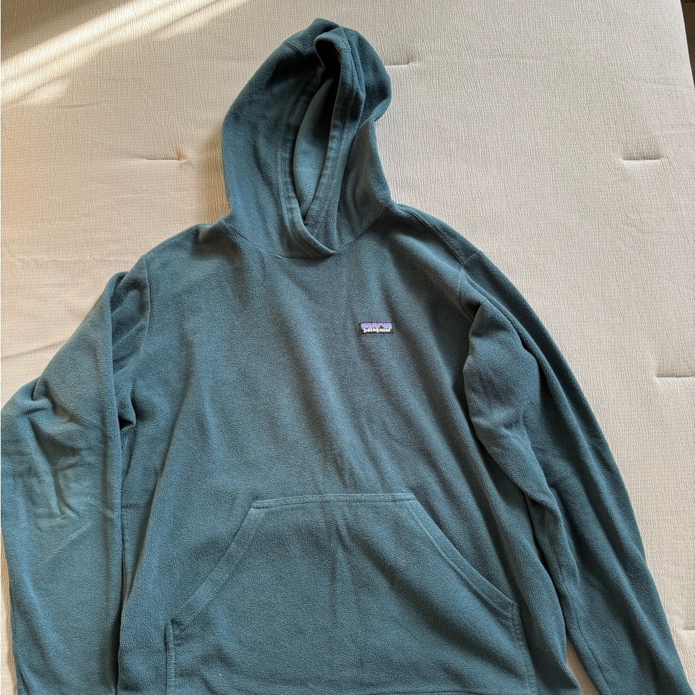 Patagonia Micro D Hoody